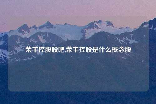 荣丰控股股吧,荣丰控股是什么概念股