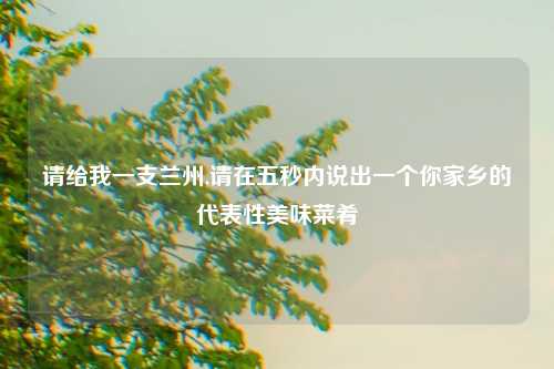 请给我一支兰州,请在五秒内说出一个你家乡的代表性美味菜肴