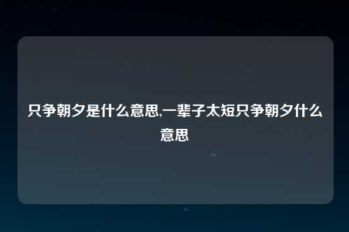 只争朝夕是什么意思,一辈子太短只争朝夕什么意思