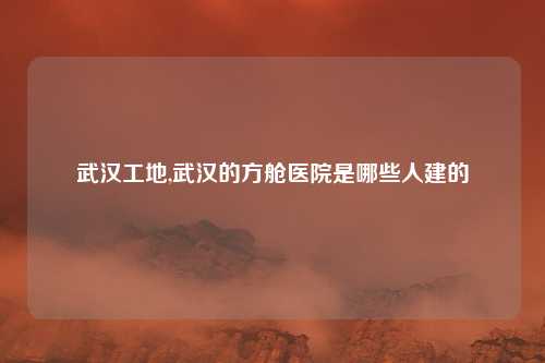 武汉工地,武汉的方舱医院是哪些人建的