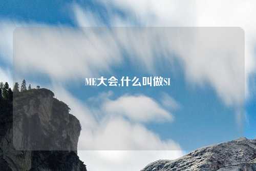 ME大会,什么叫做SI