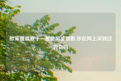 欧莱雅就双十一差价风波致歉,你在网上买到过假货吗