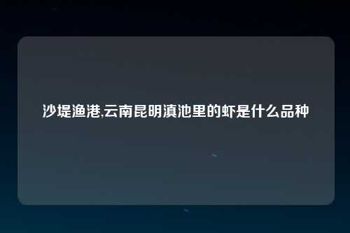 沙堤渔港,云南昆明滇池里的虾是什么品种