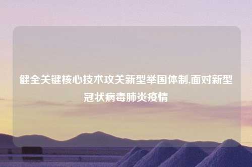 健全关键核心技术攻关新型举国体制,面对新型冠状病毒肺炎疫情