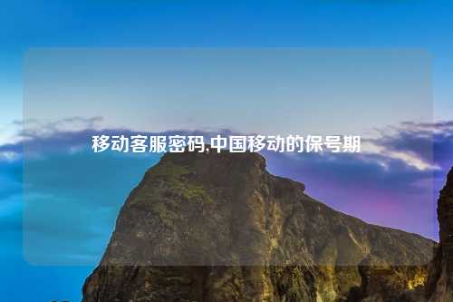 移动客服密码,中国移动的保号期