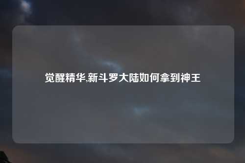 觉醒精华,新斗罗大陆如何拿到神王