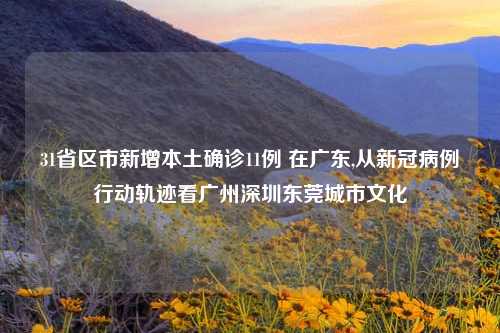 31省区市新增本土确诊11例 在广东,从新冠病例行动轨迹看广州深圳东莞城市文化