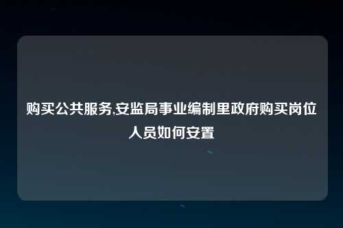 购买公共服务,安监局事业编制里政府购买岗位人员如何安置