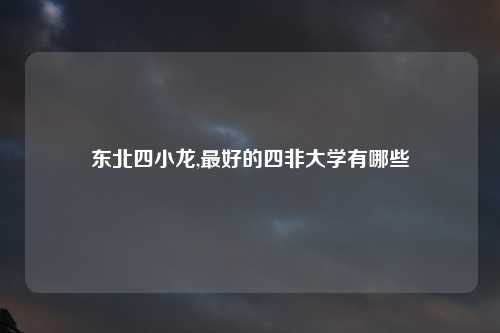东北四小龙,最好的四非大学有哪些