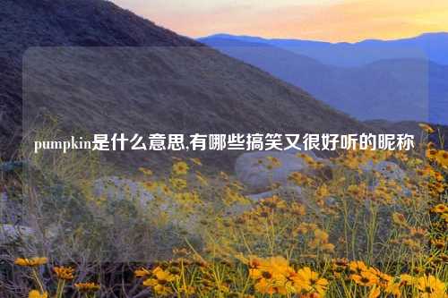 pumpkin是什么意思,有哪些搞笑又很好听的昵称