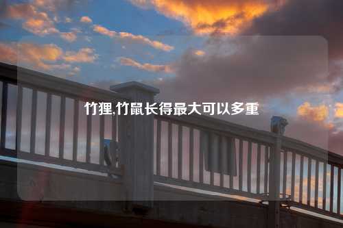 竹狸,竹鼠长得最大可以多重