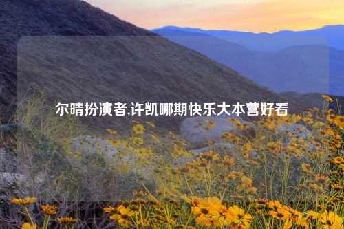 尔晴扮演者,许凯哪期快乐大本营好看