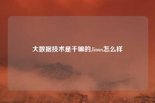 大数据技术是干嘛的,linux怎么样