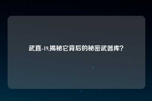 武直-19,揭秘它背后的秘密武器库？