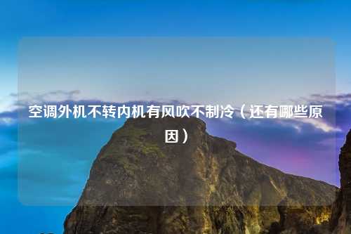 空调外机不转内机有风吹不制冷（还有哪些原因）