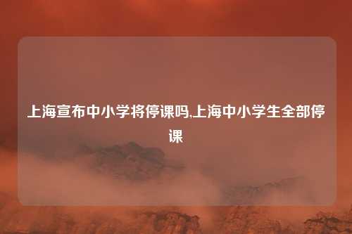 上海宣布中小学将停课吗,上海中小学生全部停课