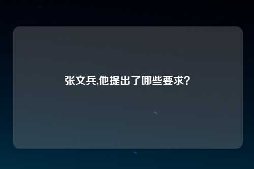 张文兵,他提出了哪些要求？