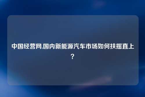 中国经营网,国内新能源汽车市场如何扶摇直上？