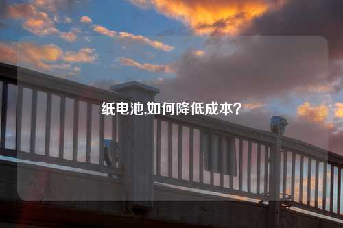 纸电池,如何降低成本？