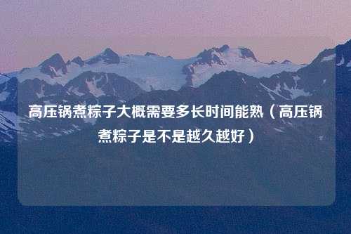 高压锅煮粽子大概需要多长时间能熟（高压锅煮粽子是不是越久越好）