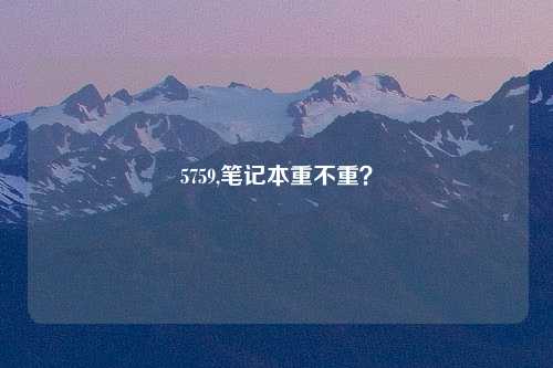 5759,笔记本重不重？