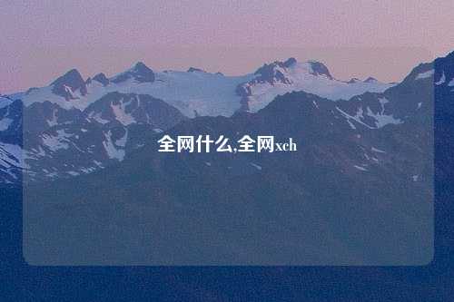 全网什么,全网xch