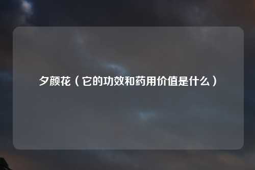 夕颜花（它的功效和药用价值是什么）
