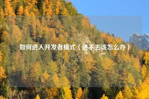 如何进入开发者模式（进不去该怎么办）