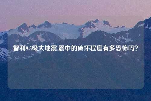 智利9.5级大地震,震中的破坏程度有多恐怖吗？