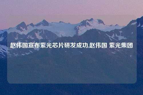 赵伟国宣布紫光芯片研发成功,赵伟国 紫光集团