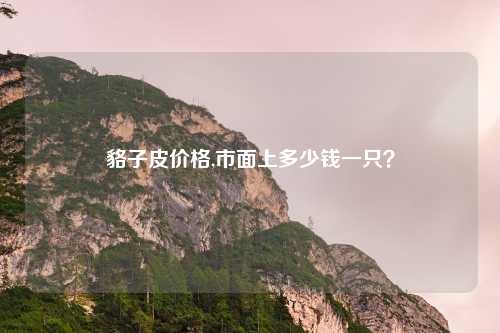 貉子皮价格,市面上多少钱一只？