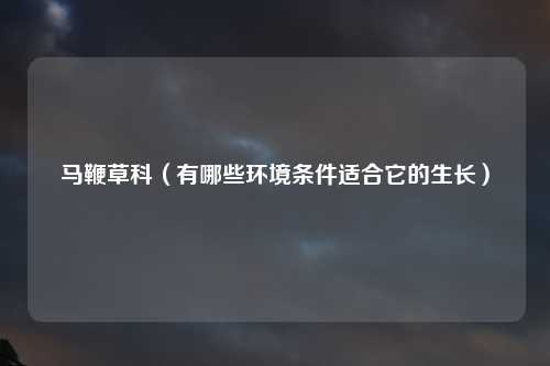 马鞭草科（有哪些环境条件适合它的生长）