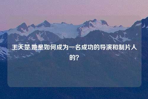 王天楚,她是如何成为一名成功的导演和制片人的？