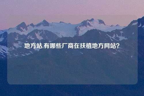 地方站,有哪些厂商在扶植地方网站？