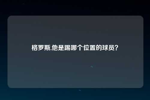 格罗斯,他是踢哪个位置的球员？