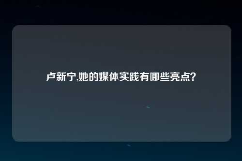 卢新宁,她的媒体实践有哪些亮点？