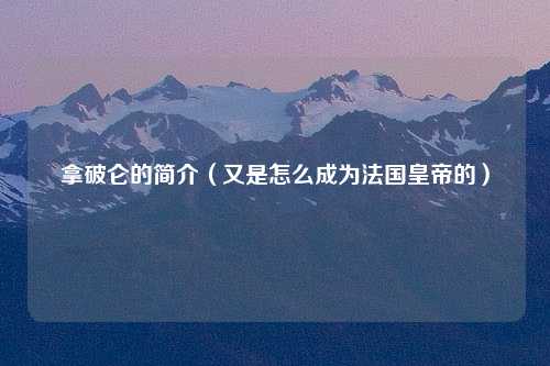 拿破仑的简介（又是怎么成为法国皇帝的）