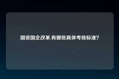 国资国企改革,有哪些具体考核标准？