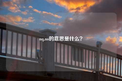 nq,no的意思是什么？