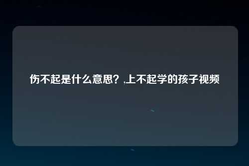 伤不起是什么意思？,上不起学的孩子视频