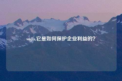 wojia,它是如何保护企业利益的？