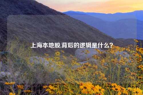 上海本地股,背后的逻辑是什么？