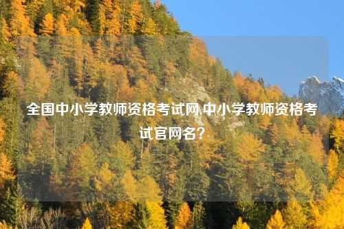 全国中小学教师资格考试网,中小学教师资格考试官网名？