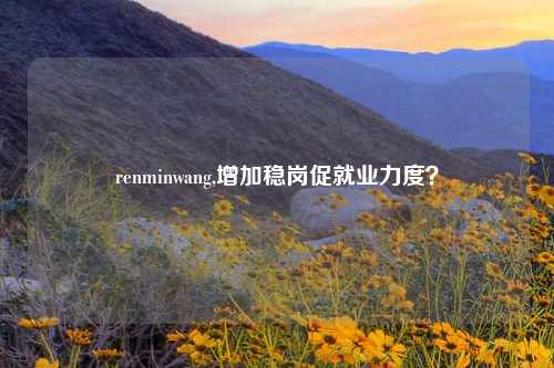 renminwang,增加稳岗促就业力度？