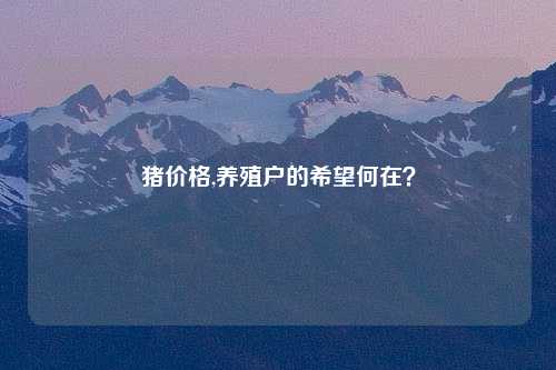 猪价格,养殖户的希望何在？