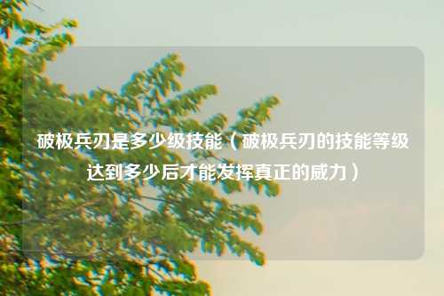 破极兵刃是多少级技能（破极兵刃的技能等级达到多少后才能发挥真正的威力）