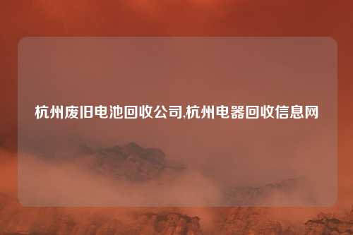 杭州废旧电池回收公司,杭州电器回收信息网