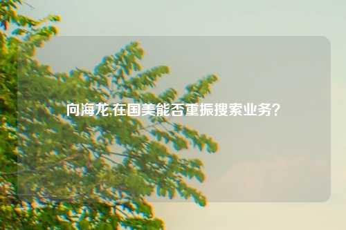 向海龙,在国美能否重振搜索业务？