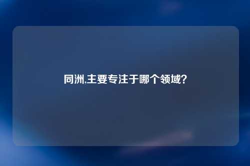 同洲,主要专注于哪个领域？