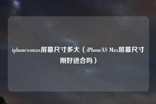 iphonexsmax屏幕尺寸多大（iPhoneXS Max屏幕尺寸刚好适合吗）